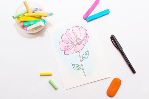 Preview: Soft pastel drawing, painting of flowers. Pastel drawing cosmos on white paper, top view