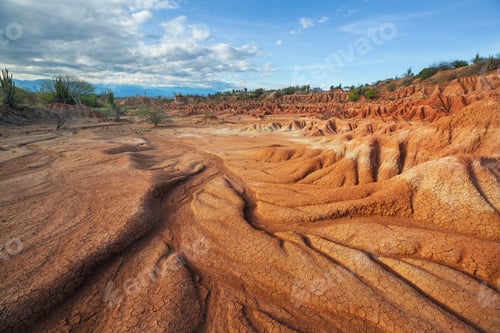 Cracked Earth Landscape with Cacti under Cloudy Skies