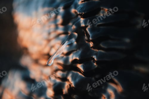 Preview: abstract texture of an ice frozen on a rock
