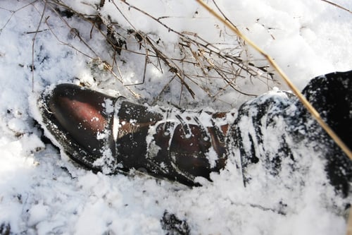 Preview: Snow Covered Leather Shoe