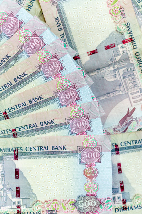 Preview: UAE dirhams, paper money, closeup view