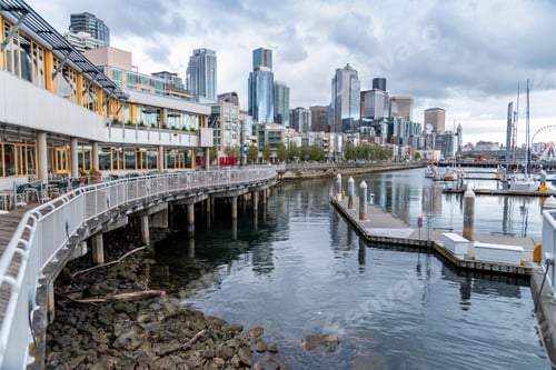 Preview: Marina docks with city skyline