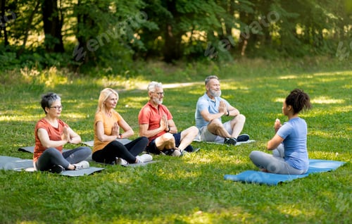Preview: Group Of Active Senior People Practicing Yoga With Instructor Outdoors