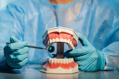 Preview: A dental doctor wearing blue gloves and a mask holds a dental model of the upper and lower jaws and