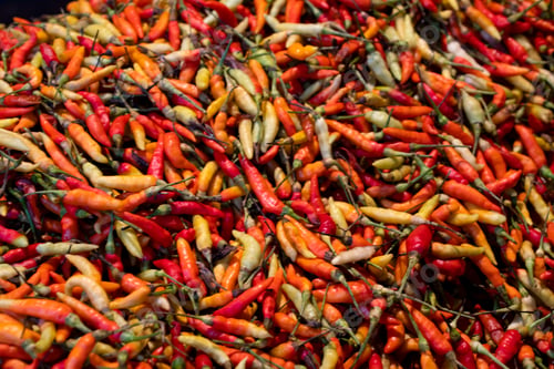 Preview: Close-up red and green chillies