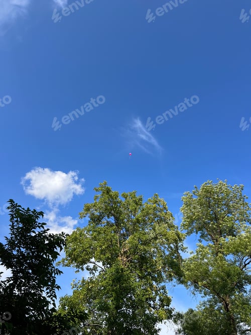 Preview: Bright blue sky with a red balloon floating above green trees on a sunny day