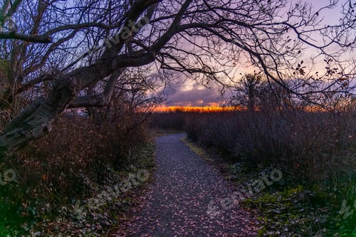 Preview: Scenic Sunrise Pathway in Victoria on Vancouver Island, BC, Canada