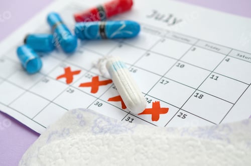 Preview: Aspects of women wellness in monthlies period