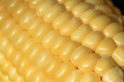 Preview: Corn