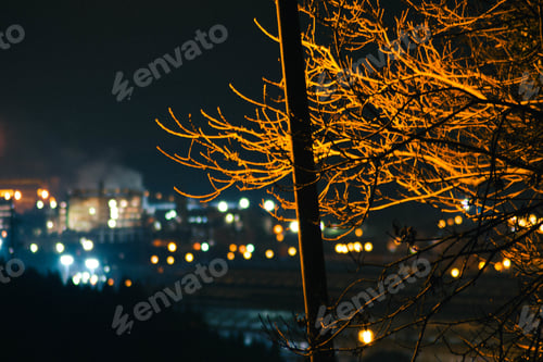 Preview: Closeup shot of tree branches with city lights on the background at night