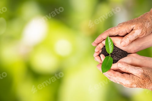 Preview: Generations nurturing a young plant together in cupped hands over a green natural background.