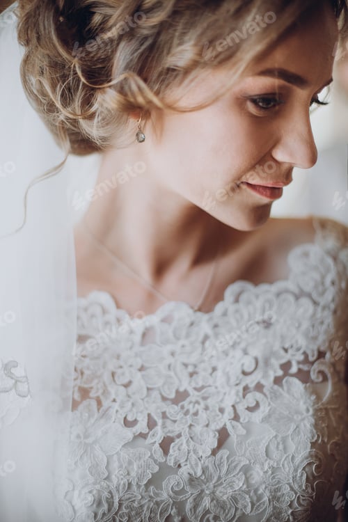 Preview: Beautiful blonde bride in elegant white lace wedding dress and veil portrait