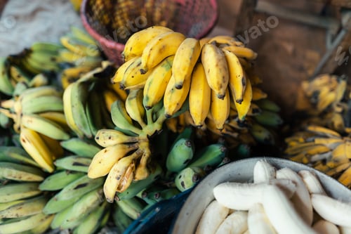 Preview: cultivated banana for processing ,Banana in the hand of the seller