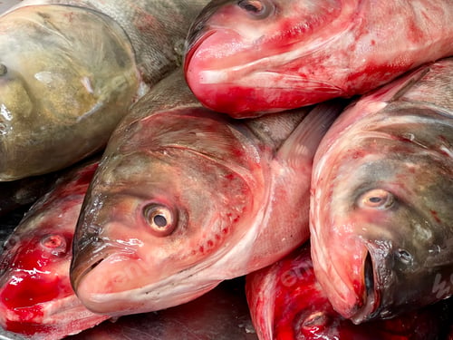 Preview: Fish market