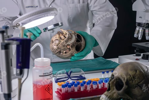 Preview: Forensic scientist examines human skull of adult male homocide victim