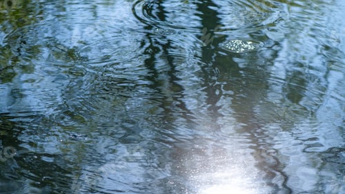 Preview: Circles on the water in the river from the movement of fish, fishing