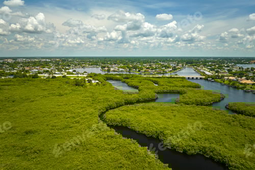Visualização: Vista aérea do pântano de Everglades com vegetação verde entre as entradas de água