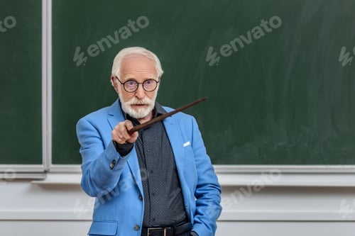 Preview: grey hair professor pointing on something at lecture hall