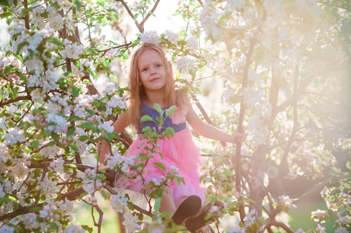 Preview: Adorable little girl enjoying spring day in apple blooming garden