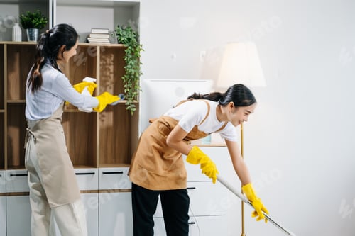 Preview: Efficient and professional housekeeping with our dynamic cleaning duo. Perfect teamwork