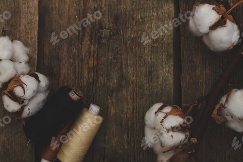 Preview: Cotton flower