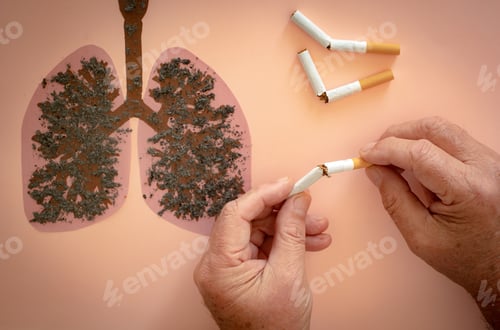 Preview: World No Tobacco Day. Man holding broken cigarettes in hand on unhealthy lungs drawing