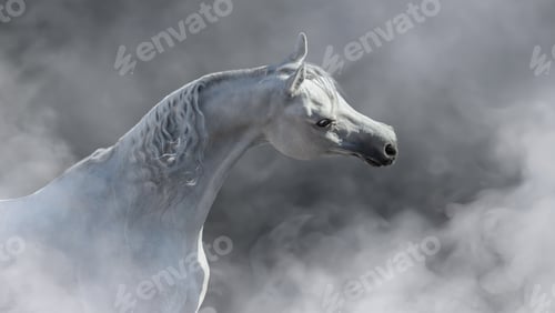 Preview: White arabian horse in light mist.