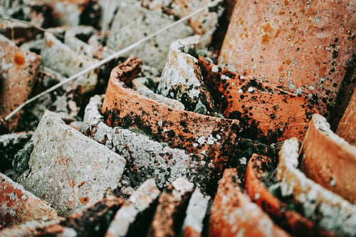 Preview: Old and dirty of moss roof tiles