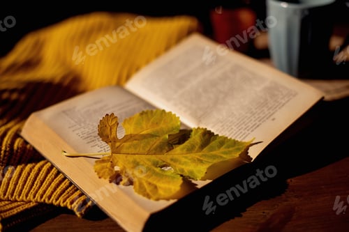 Preview: Autumn. cup of tea, maple leaves, sweater and books on wooden table. cozy home, hygge concept