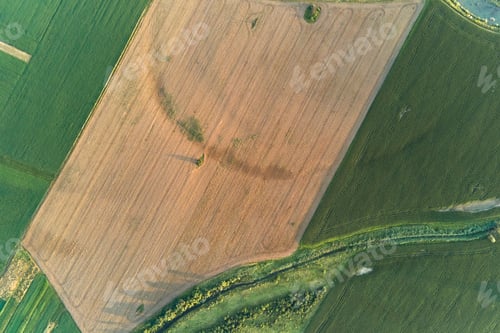 Preview: Aerial landscape view of green and yellow cultivated agricultural fields with growing crops on