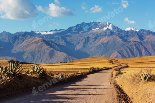 Preview: Peruvian pampa