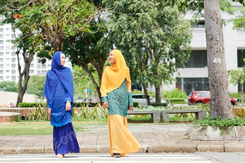 Preview: Muslim women crossing road