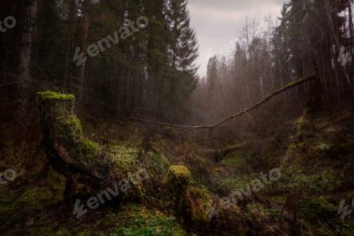 Preview: The ravines of Gardemoen