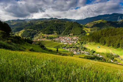 Preview: Rice fields at Northwest Vietnam