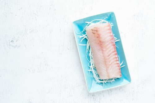 Preview: Fillet of raw white walleye fish on a blue plate on a white background