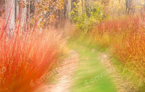 Preview: Colorful green and red grass on road