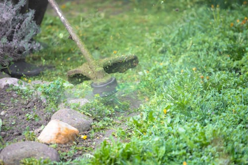 Preview: Lawn mover on green grass. Machine for cutting lawns.