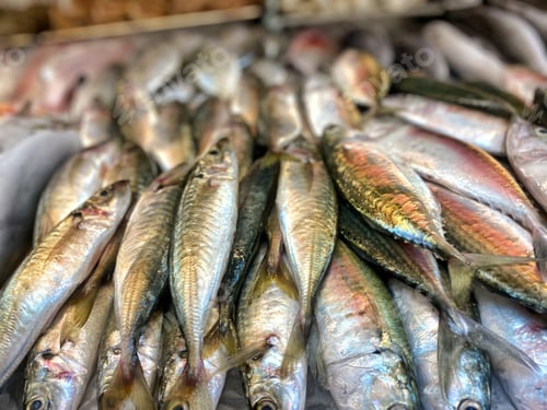 Preview: Fresh caught seafood mackerel stacked on ice at a nearby fish market