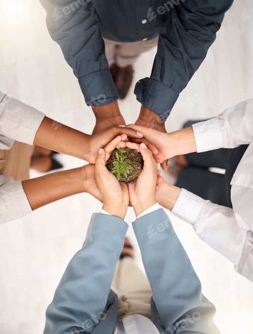 Preview: Support, environment and plant with hands of business people for sustainability, earth day and grow