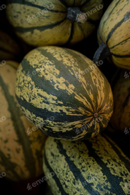 Preview: Pumpkins