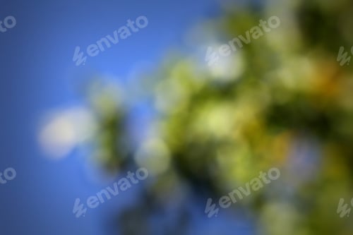 Preview: Abstract Nature Background - Softly Blurred Photograph Of Autumn Colors On A Tree Against A Bright