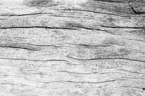 Preview: texture of bark wood use as natural background, surface eroded by time , old wood background