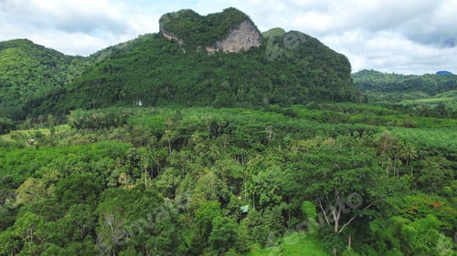 Preview: Aerial view of limestone mountains and greenery rainforest in Khao Sok, Surat Thani Thailand