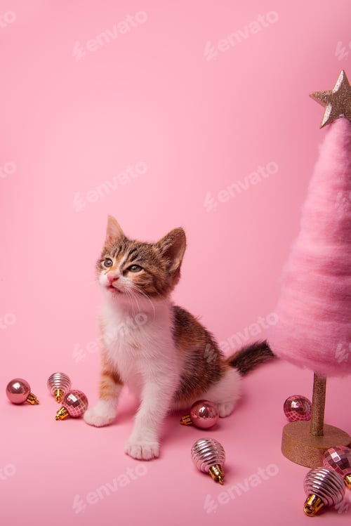 Preview: Adorable Kitten stuck out tongue with Festive Christmas Decor on Pink Background