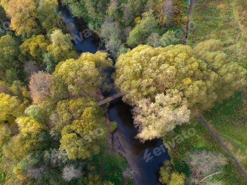 Preview: Aerial drone view of autumn forest and small river