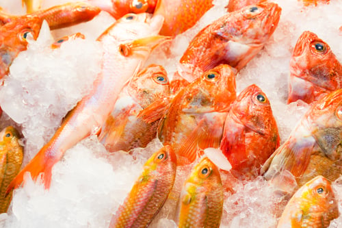 Preview: Red snapper fish in wet market