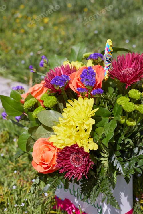 Preview: Beautiful colorful flowers at the Garden