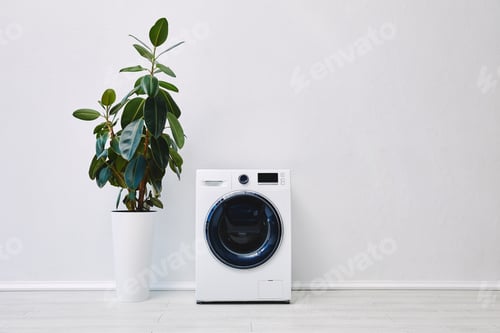 Preview: plant near modern washing machine in bathroom
