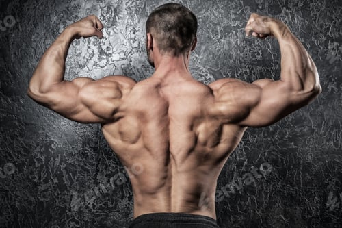 Preview: Man showing muscular back against conctete wall