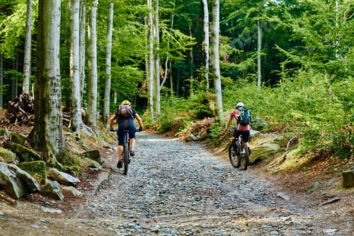 Preview: Atheletes ride on bike in mountain forest.